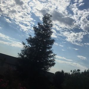 Meet your Posher, Lisbeth